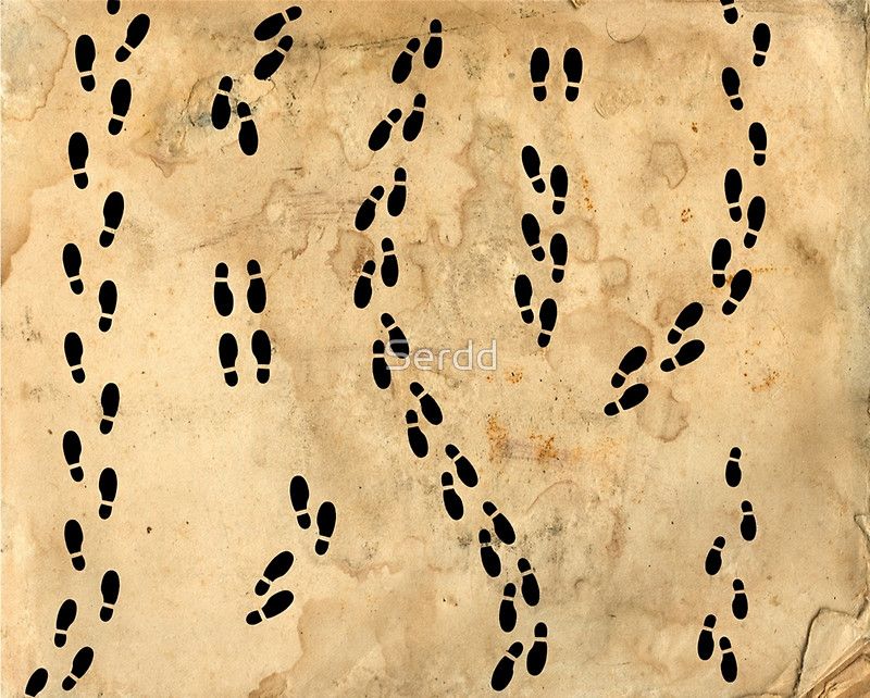 800x642 Marauders Map Footprints Metal Prints