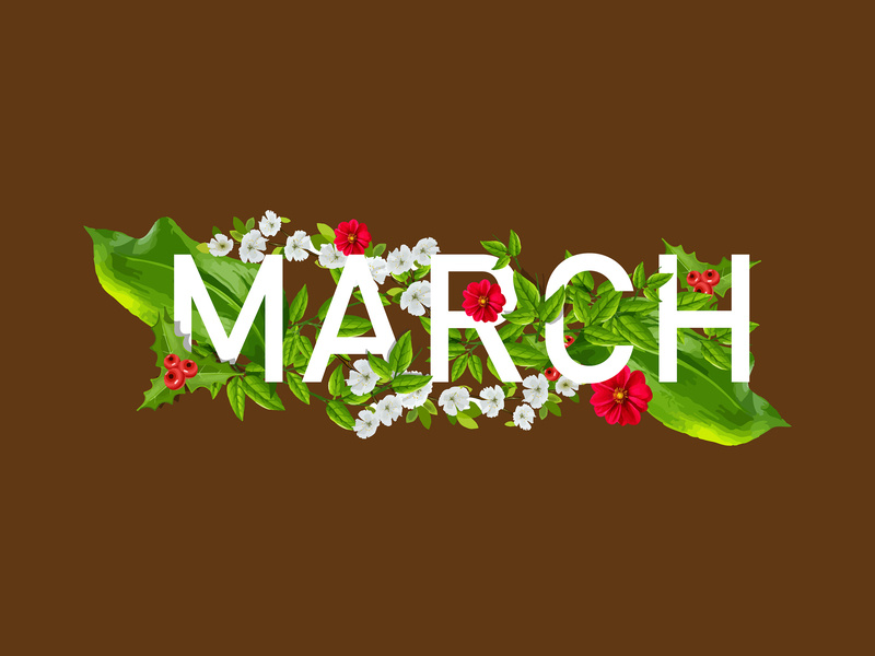 800x600 March Font Flower Decoration