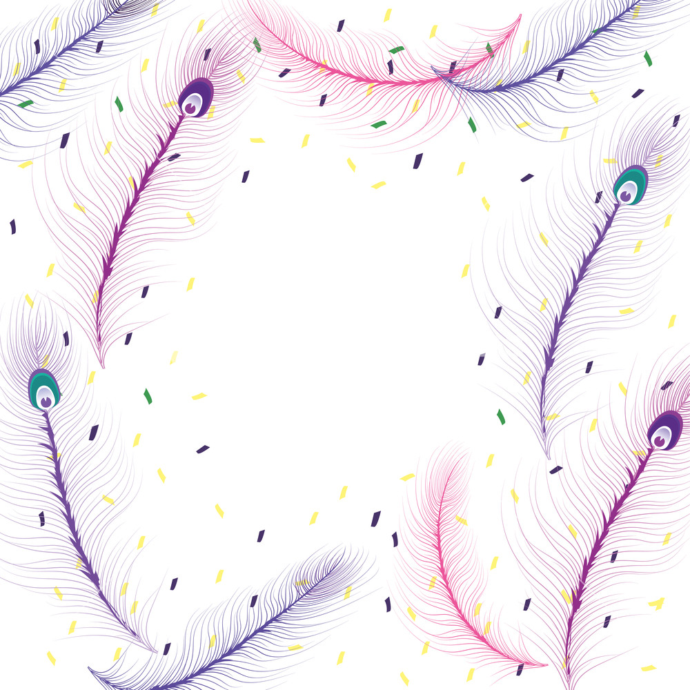 1000x1000 Feather Background Frame Mardi Gras Vector Illustration Graphic