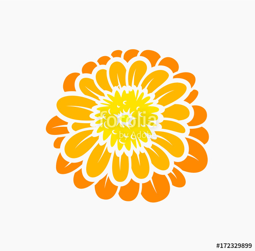 Marigold Flower Vector Stock Image And Royalty Free Vector 500x491 Marigold Flower Vector Stock Image And Royalty Free Vector