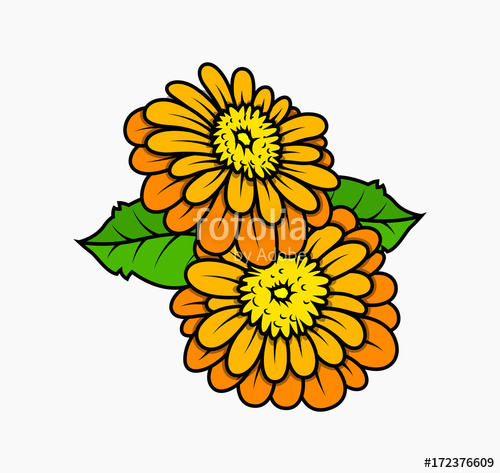 Marigold Flowers Vector Stock Image And Royalty Free Vector 500x473 Marigold Flowers Vector Stock Image And Royalty Free Vector