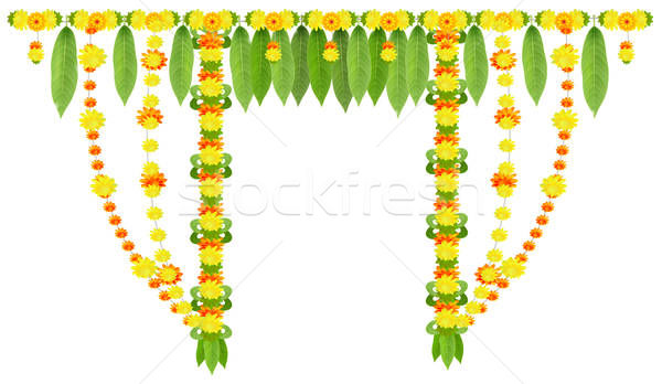 Marigold Stock Vectors, Illustrations And Cliparts Stockfresh 600x348 Marigold Stock Vectors, Illustrations And Cliparts Stockfresh