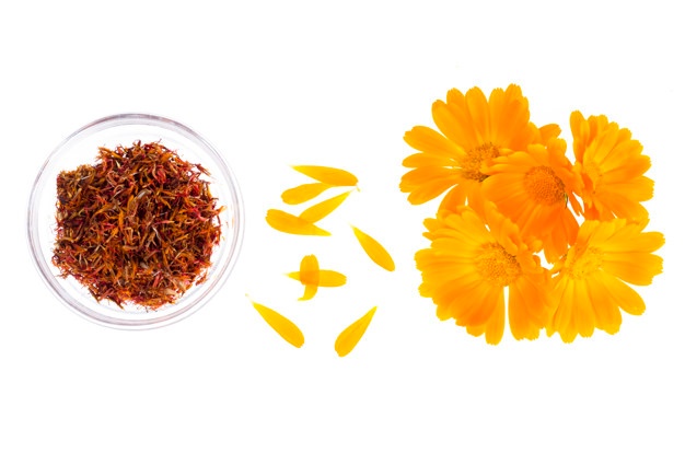 Marigold Vectors, Photos And Free Download 626x414 Marigold Vectors, Photos And Free Download