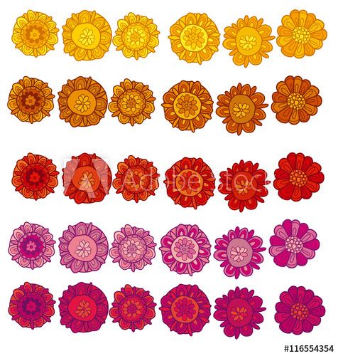 Decorative Stylized Marigold Flower Vector Illustration Decorat 476x500 Decorative Stylized Marigold Flower Vector Illustration Decorat