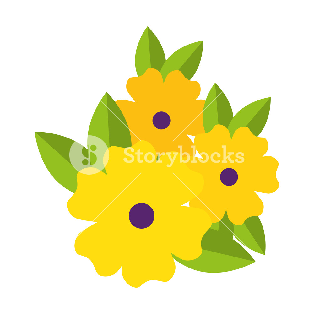 Marigold Flower Decorative Icon Vector Illustration Design Royalty 1000x1000 Marigold Flower Decorative Icon Vector Illustration Design Royalty