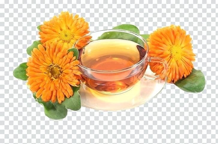 Mexican Flowers Vector Free 728x481 Mexican Flowers Vector Free