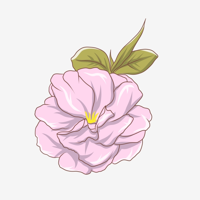 Marigold Flower Png, Vector, And Clipart With Transparent 640x640 Marigold Flower Png, Vector, And Clipart With Transparent