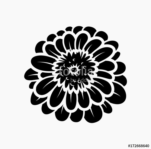Marigold Flower Silhouette Stock Image And Royalty Free Vector 500x491 Marigold Flower Silhouette Stock Image And Royalty Free Vector