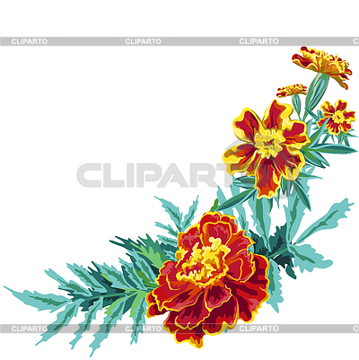 Flower Marigold V Stock Vector Graphics Cliparto 400x401 Flower Marigold V Stock Vector Graphics Cliparto