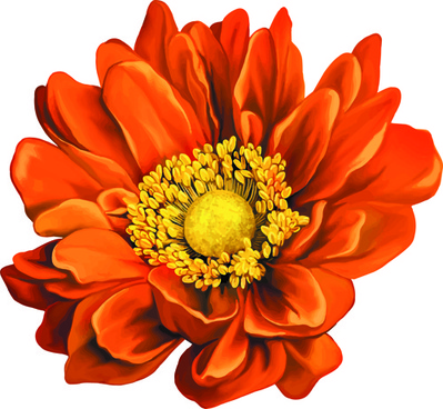 Flower Set Free Vector Download 399x368 Flower Set Free Vector Download