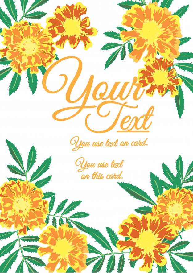 Marigold Flower Vector Vectors, Photos And Free Download 626x885 Marigold Flower Vector Vectors, Photos And Free Download