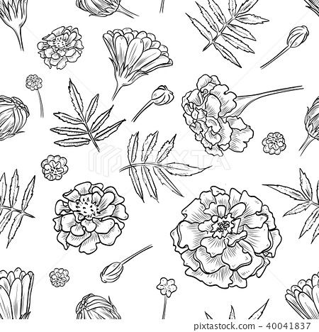 Vector Marigold Seamless Pattern 450x468 Vector Marigold Seamless Pattern
