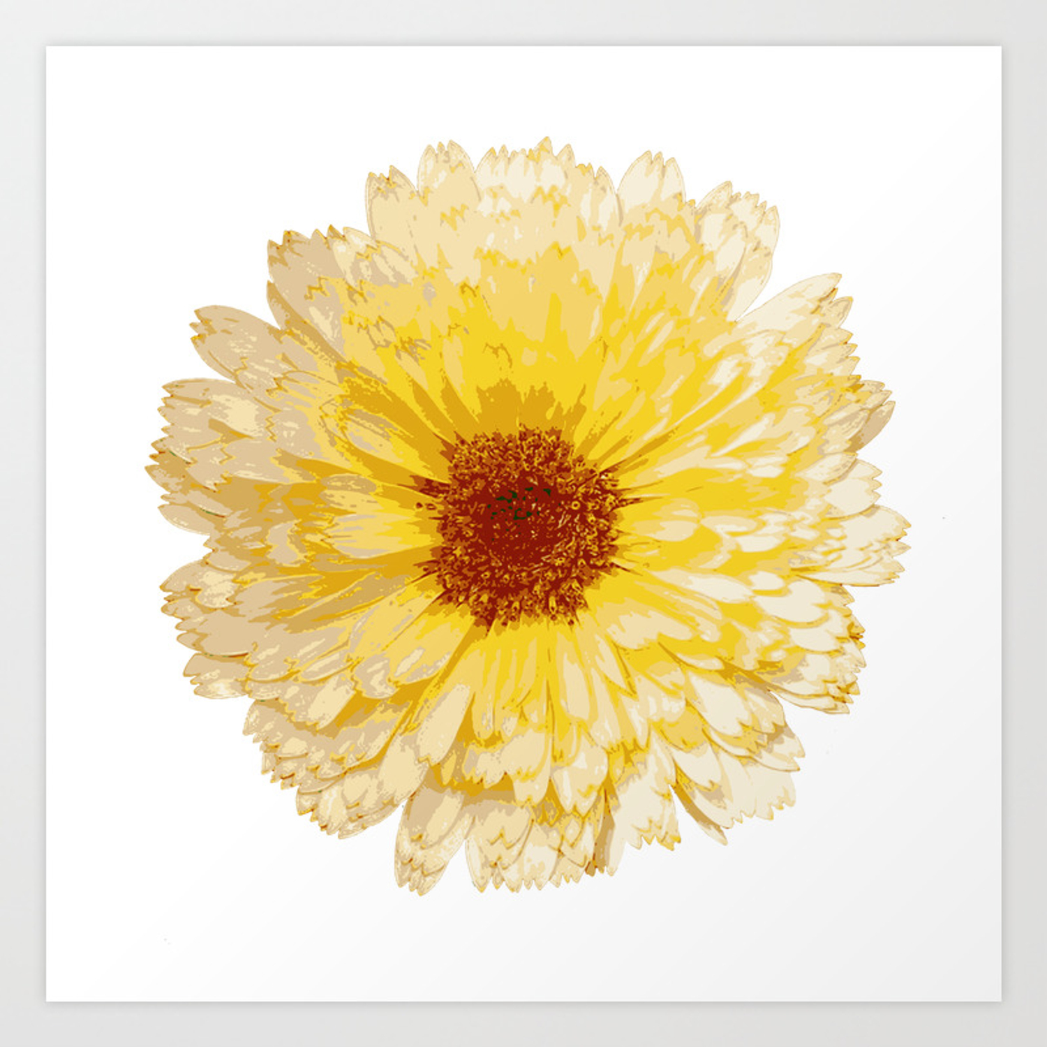 Beautiful Yellow Marigold Vector Isolated Art Print 1500x1500 Beautiful Yellow Marigold Vector Isolated Art Print