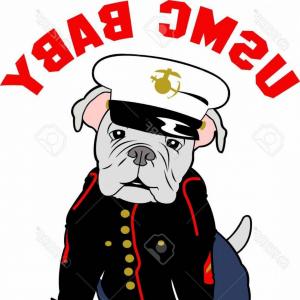 300x300 Png Rd Marine Division United States Marine Corps St Soidergi