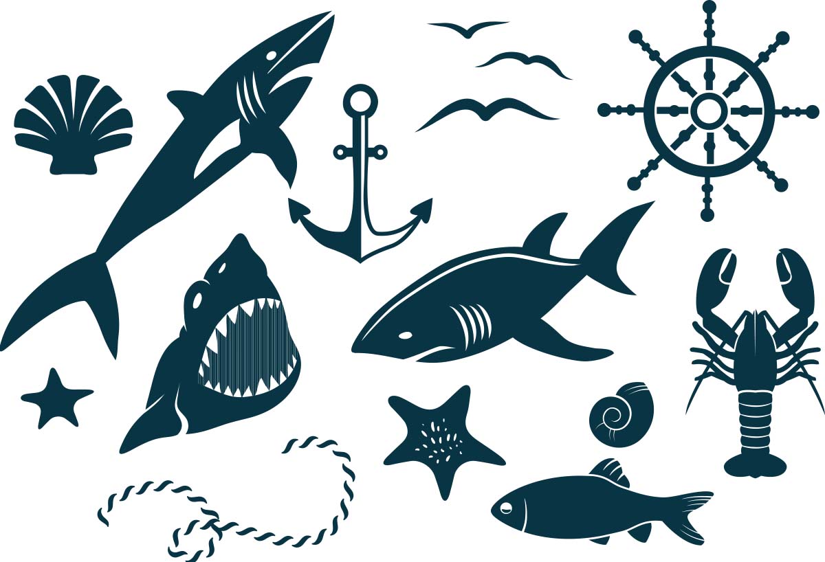 Decorative Marine Elements Vector Free Download 1200x818 Decorative Marine Elements Vector Free Download