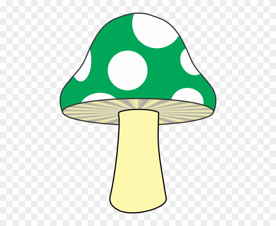 880x720 Mushroom,nature,green Vector Graphics
