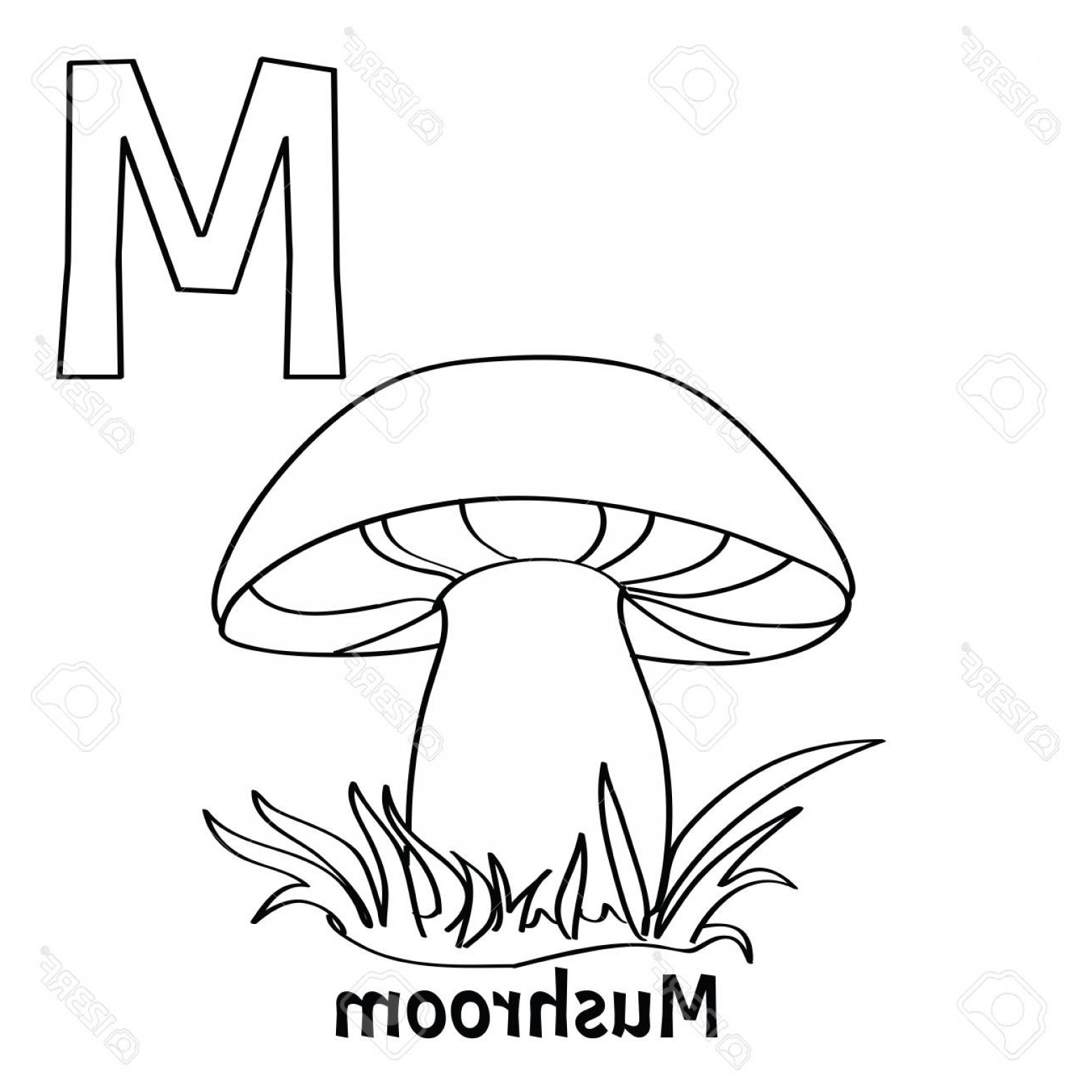 1560x1560 Vector Alphabet Letter M Coloring