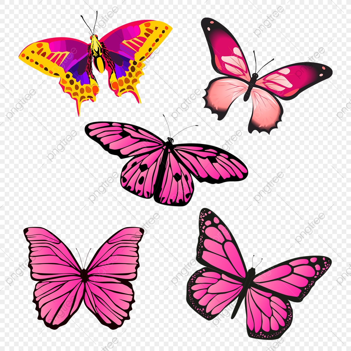 Download Mariposa Vector at Vectorified.com | Collection of ...