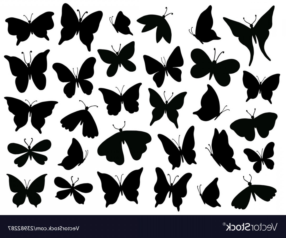 1200x996 Mariposa Vector Createmepink