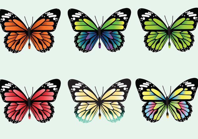 632x443 Mariposa Vector Pack Free Vector Download Cannypic
