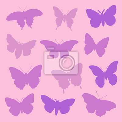 400x400 Silueta De La Mariposa Vector Fotomural Fotomurales Polilla