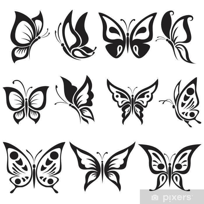 700x700 Vector Set Black And White Butterflies Poster