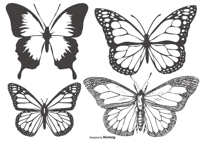 700x490 Vintage Butterflymariposa Collection