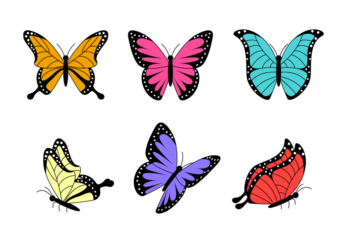 700x490 Beautiful Mariposa Vector