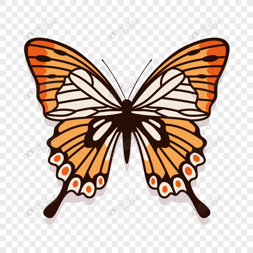 860x860 Dibujado A Mano Mariposa Vector Material Imagen Descargar Prf