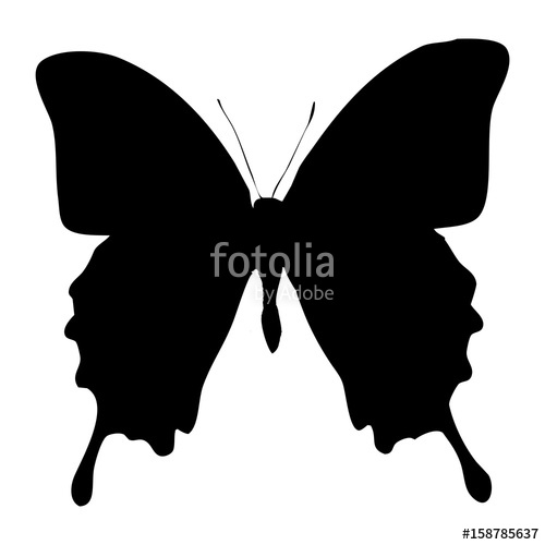 500x500 Mariposa Stock Image And Royalty Free Vector