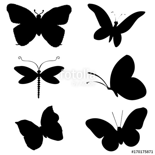 Mariposa Vector at Vectorified.com | Collection of Mariposa Vector free ...