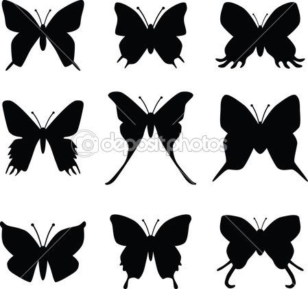 449x421 Vector Silueta De Mariposa Vector Stock Photos