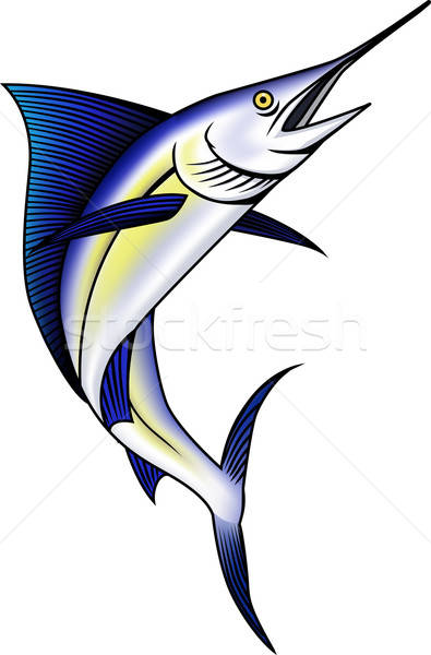 Marlin Fish Vector Illustration Surya Zaidan 395x600 Marlin Fish Vector Illustration Surya Zaidan