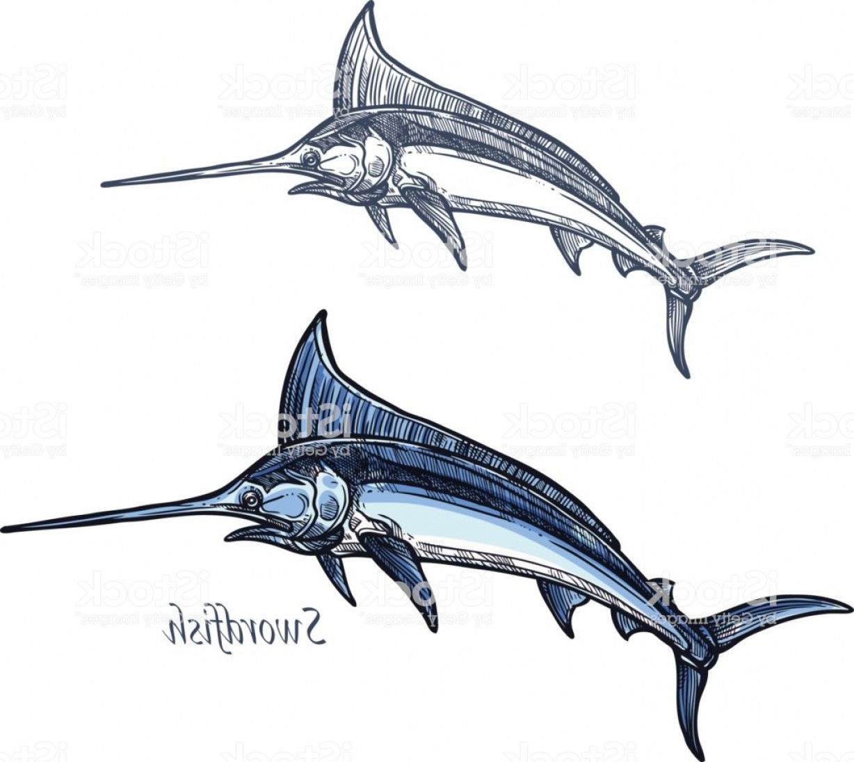 1228x1095 Marlin Fish Vector Lamaison