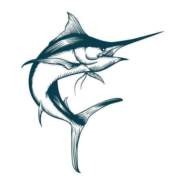 626x626 Marlin Vectors, Photos And Free Download