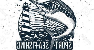 367x195 Blue Marlin Fish Vector Archives Vector Images Design