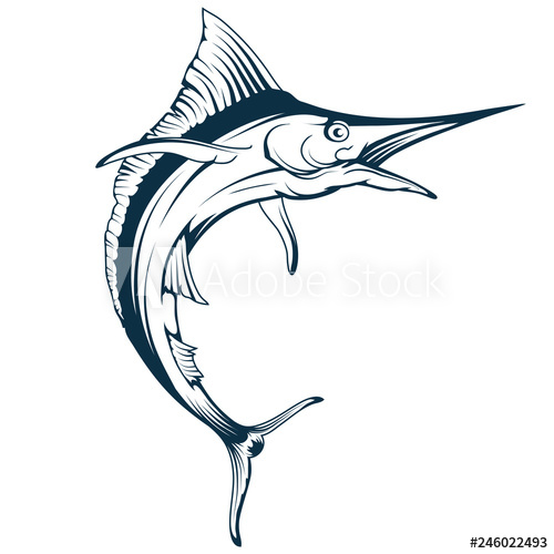 500x500 Blue Marlin Fish Vector Drawing, Marlin Fish Drawing Sketch
