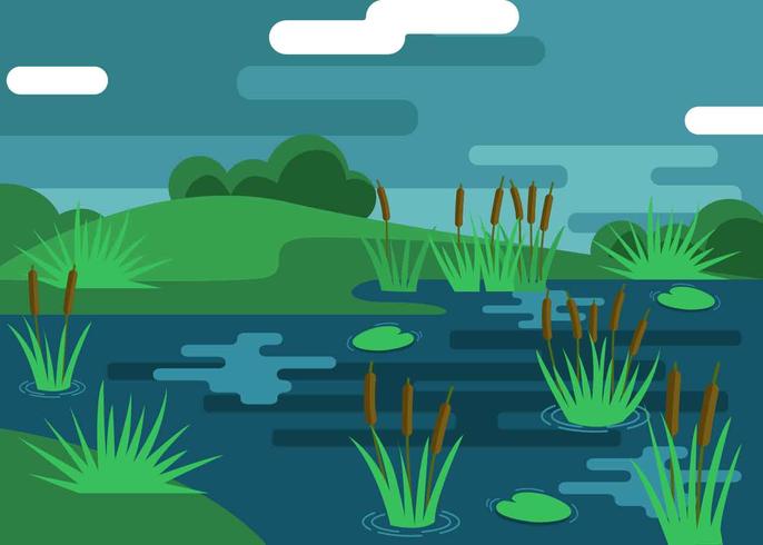 686x490 Marsh Illustration Vector