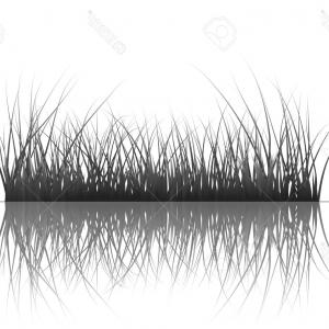 300x300 Marsh Land Vector Newwaysys