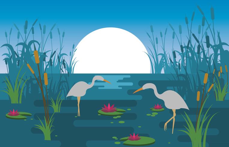 762x490 Marsh Scene Illustration