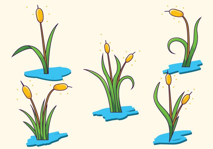 700x490 Marsh Vector Pack