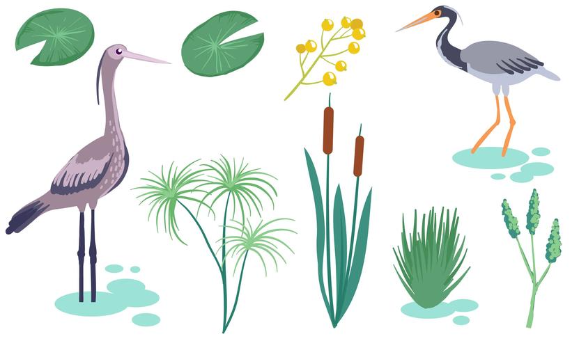 831x490 Marsh Wetland Vectors