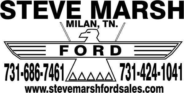 600x304 Marsh Vector Free Vector Download