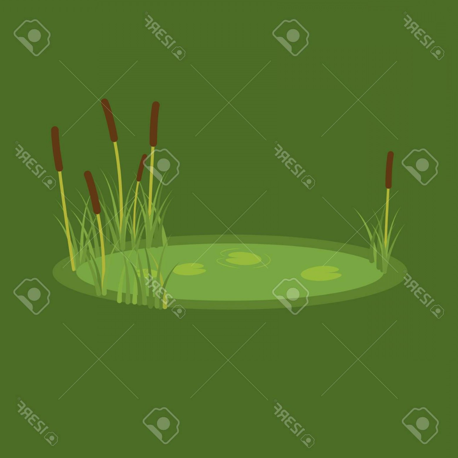 1560x1560 Photostock Vector Vector Illustration Of The Marsh Reeds And Water