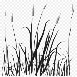300x300 Png Marsh Cattail Clip Art Marsh Hoodamathrun