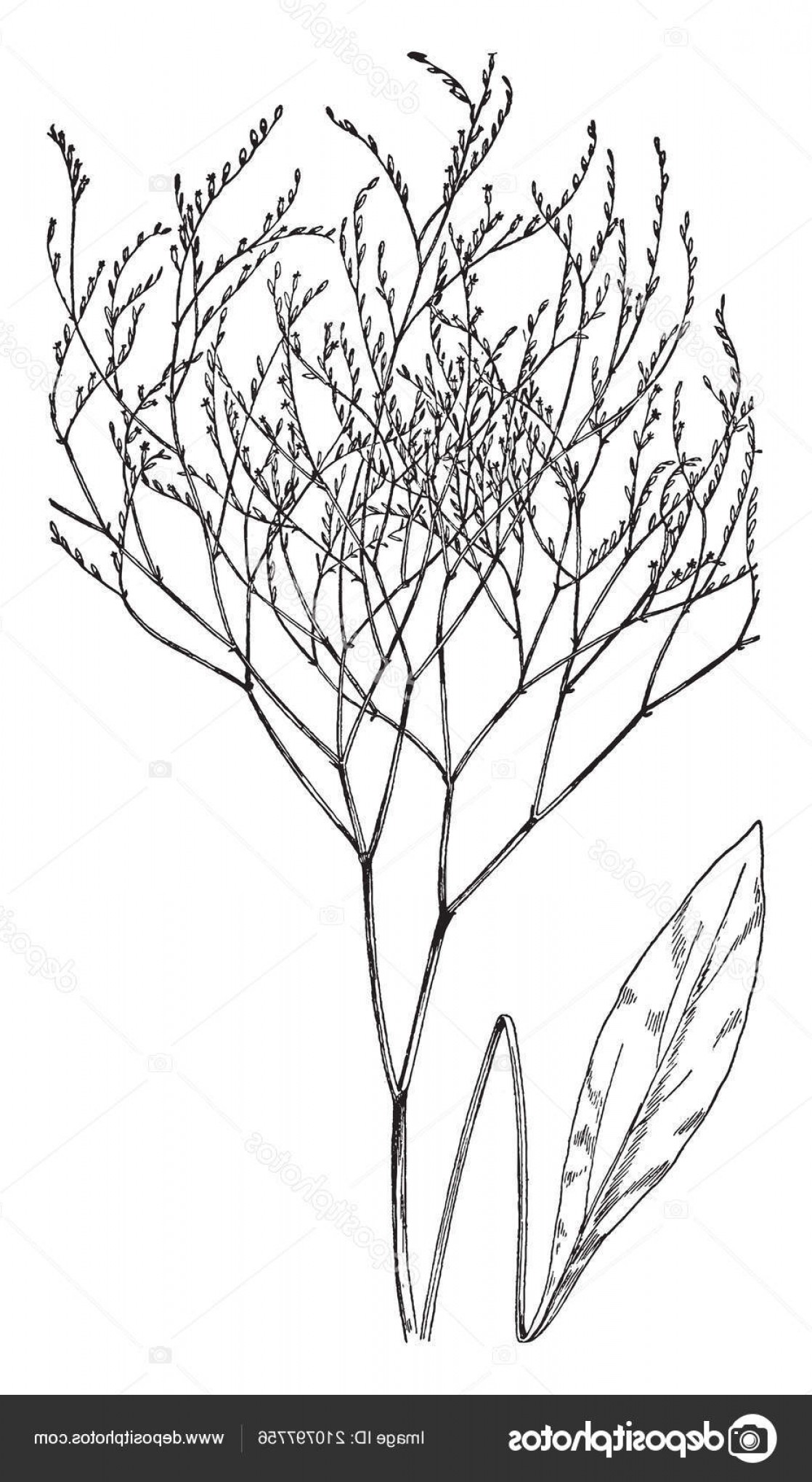 Marsh Vector at Vectorified.com | Collection of Marsh Vector free for ...