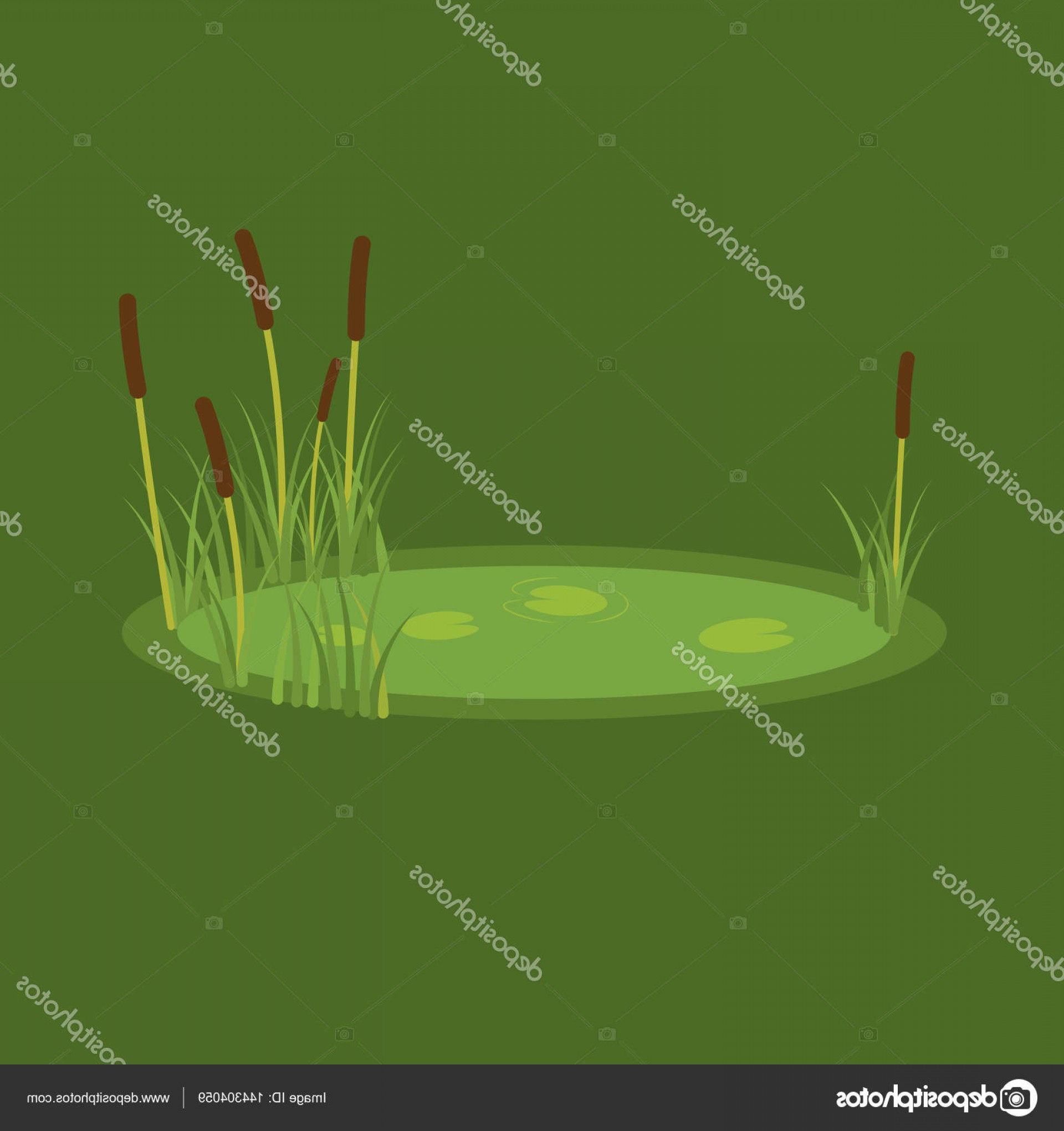 1920x2040 Stock Illustration Vector Illustration Of The Marsh Handandbeak