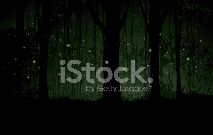 692x440 Vector Marsh Background Stock Vector