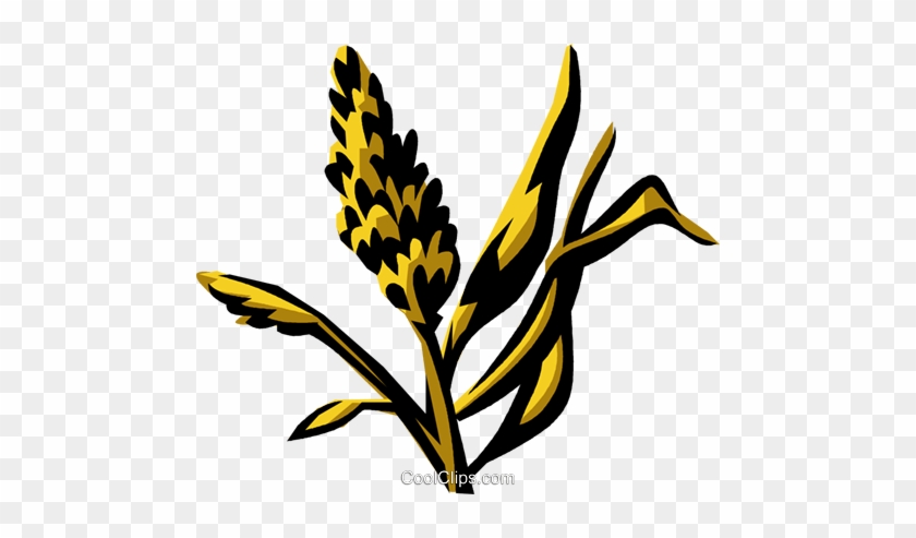 840x493 Marsh Grass Royalty Free Vector Clip Art Illustration