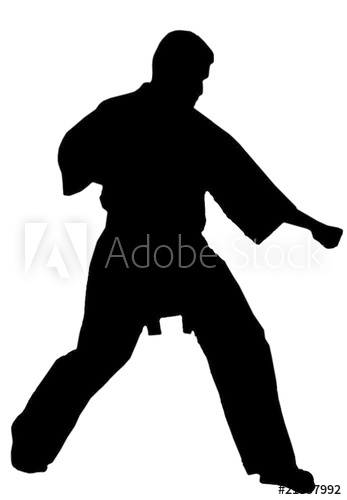 347x500 Martial Arts Vector Wall Mural Wallpaper Murals Wallsheaven